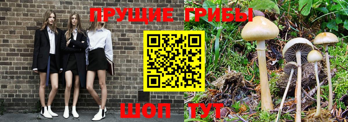Псилоцибиновые грибы MAGIC MUSHROOMS  Псилоцибиновые грибы ЛСД  Вход с VPN  Балашов 