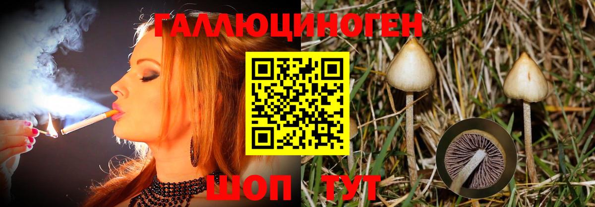 Псилоцибиновые грибы GOLDEN TEACHER Балашов